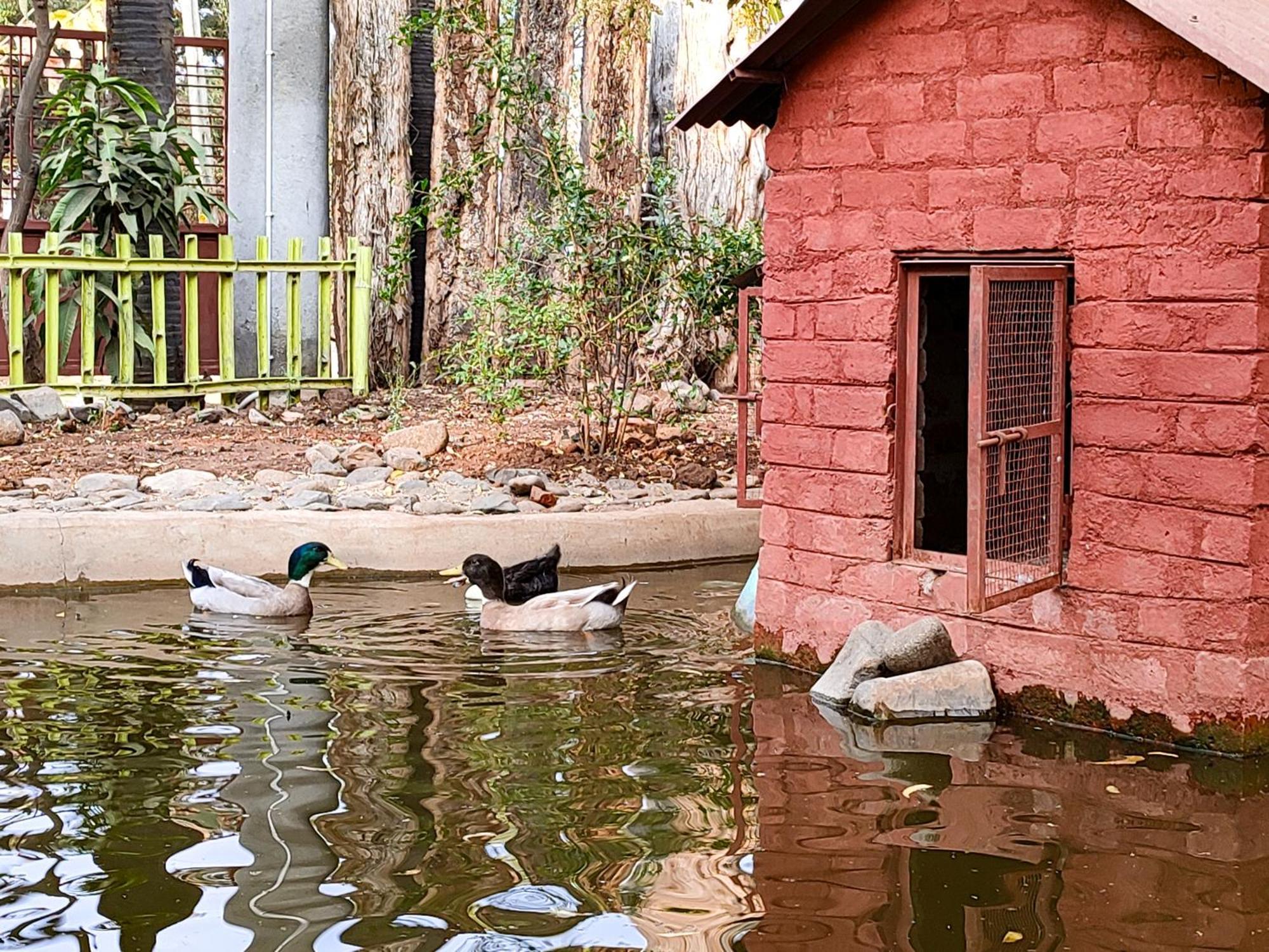 Van Vagdo Resort Rajpipla Exterior foto